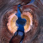 David Ward - @davidwardphotos - Instagram