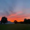 david ward - @david.ward - TikTok