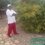 David Wardell - @wardelldavid - Instagram