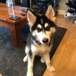 David Wardell - @david.wardell.315 - Instagram