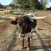 David Wardlow838 - @davidlwardlow - TikTok