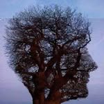 David Wardlow - @david.wardlow.142 - Instagram
