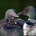 David Waring - Facebook