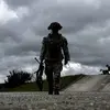 David Warner - @warner138 - TikTok
