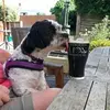 David Warner - @davidwarner075 - TikTok