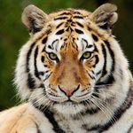 David Wathen - @wathen423 - Instagram
