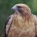 David Wathen - Facebook