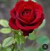 David Watson - Facebook