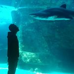 David Waugh - @thedavewaugh - Instagram