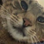 David waugh - @waugh2160 - Instagram