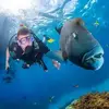 David Weetman922 - @davidweetman - TikTok