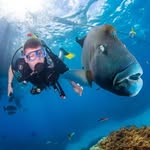 David Weetman - @dweetman - Instagram