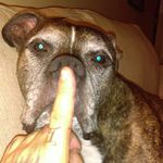 david weissman - @ogremanmovers - Instagram