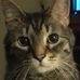 David Weldy - Facebook