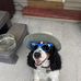 David Wernsing - Facebook
