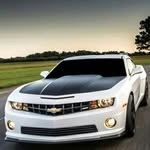 david wertheim - @wertheimdavid - Instagram
