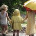 David Wertheim - Facebook