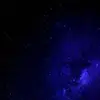 DaveLoca - @davidwessel8726 - TikTok