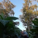David Wessman - Facebook