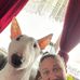 David Westberg - Facebook