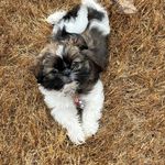 David Westfall - @westfall6171 - Instagram