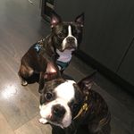 David Whalen - @randbthoughts - Instagram