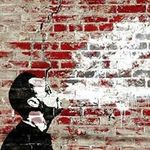 David Whalen - @just.dont.freak.out - Instagram