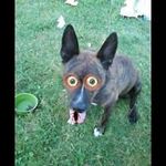 David Whalen - @davidwhalen - Instagram