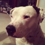 David Wheaton - @dave3232 - Instagram