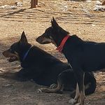 Dave Whitby - @david.whitby.1612 - Instagram
