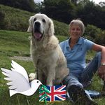 David Whitby - @wicksteadpark - Instagram