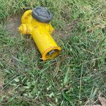 David Whitener - @davidgameengine04 - Instagram