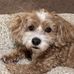 David Whitener - Facebook