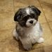 David Whitener - Facebook