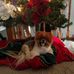 David Whitlatch - Facebook