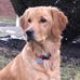 David Whitlatch - Facebook