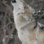 David whitlatch - @austin_377265 - Instagram