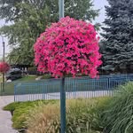 David Whitlow - @whywontyou5 - Instagram