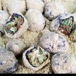 David Whitmire - @nofinfriends - Instagram