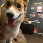 David Whitmire - @whitmire6435 - Instagram