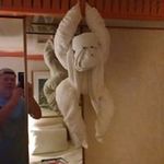 David Whitted - @david.whitted.980 - Instagram