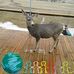 David Whitted - Facebook