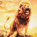 David Whitted - Facebook