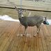 David Whitted - Facebook