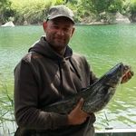 David Whittingham - @david.whittingham.75 - Instagram