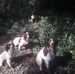 David Whitty - Facebook