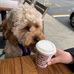 David Whitty - Facebook
