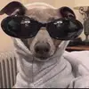 𝒹𝒶𝓋𝒾𝒹 - @davidwhyy - TikTok