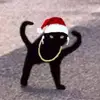 DavidWhy - @davidwhy_ - TikTok