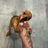 Whynotdavid - @whynotdavid - TikTok